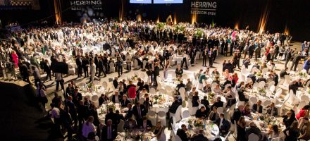 Herring Szczecin 2024